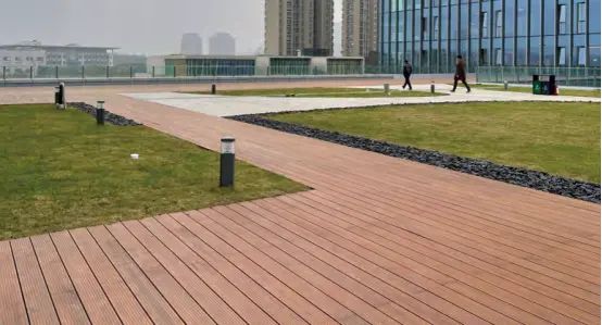 245b6d941cfd84c52ad587a9b7cb47e0